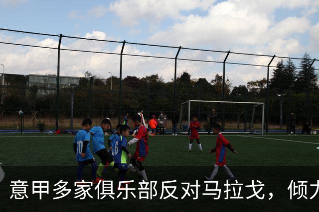 意甲多家俱乐部反对马拉戈，倾力支持加利亚尼竞争足协主席