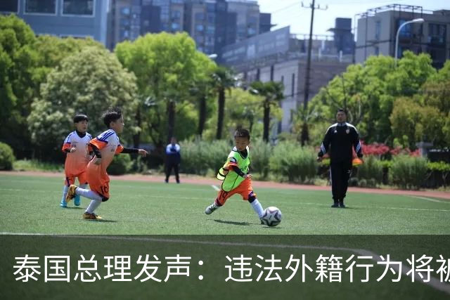 泰国总理发声：违法外籍行为将被严惩，别留情面